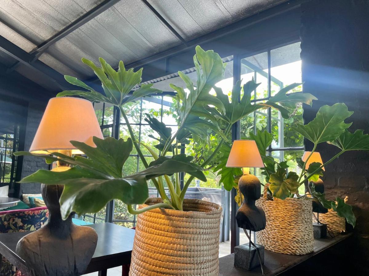 Le Reve Boutique Hotel Tulbagh Esterno foto