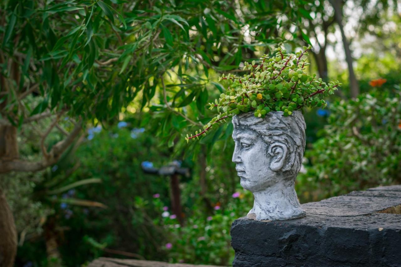 Le Reve Boutique Hotel Tulbagh Esterno foto